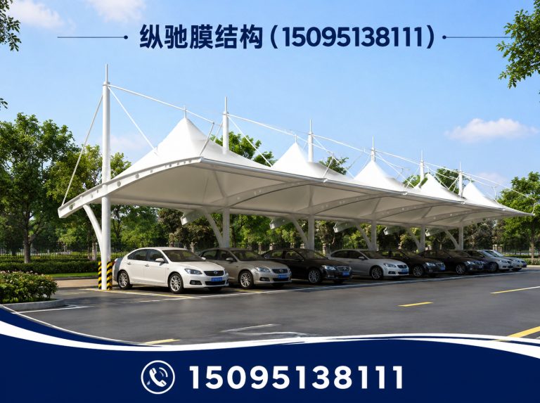 寒亭区膜结构停车棚展示图